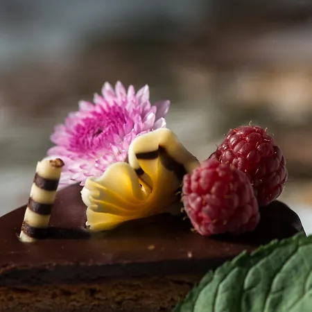 Hotel Grand London Warna